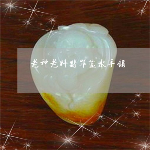 老种老料翡翠蓝水手镯/2023060584824