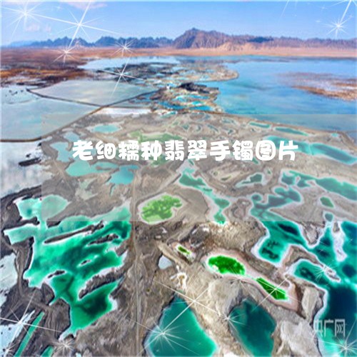 老细糯种翡翠手镯图片/2023060630380