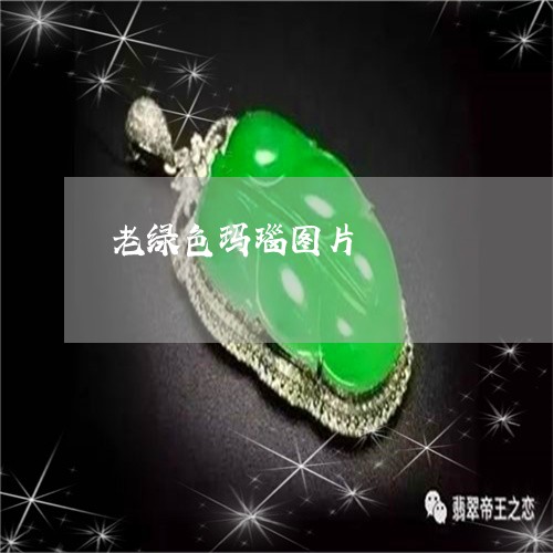 老绿色玛瑙图片/2023032308269 老绿色玛瑙图片/2023032308269