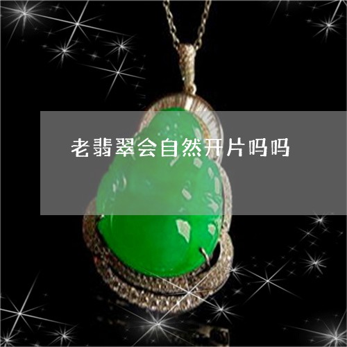 老翡翠会自然开片吗吗/2023060639370
