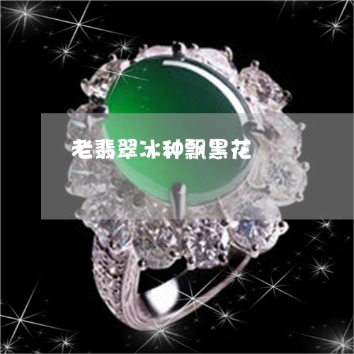 老翡翠冰种飘黑花/2023062017149