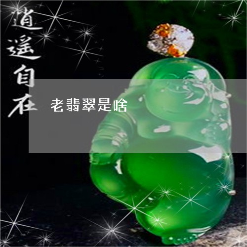 老翡翠是啥/2023071357292