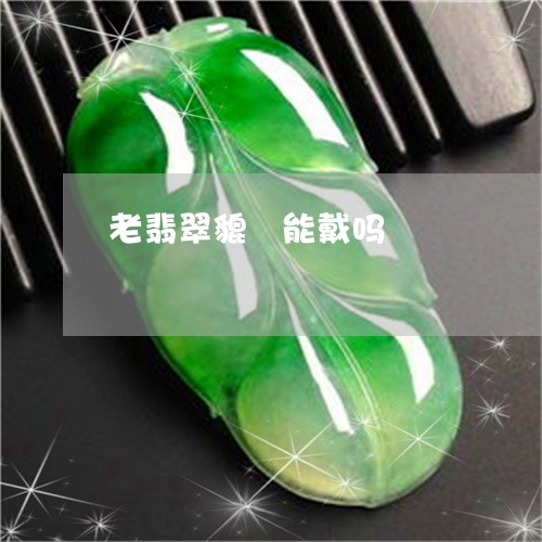 老翡翠貔恘能戴吗/2023062026380 老翡翠貔恘能戴吗/2023062026380