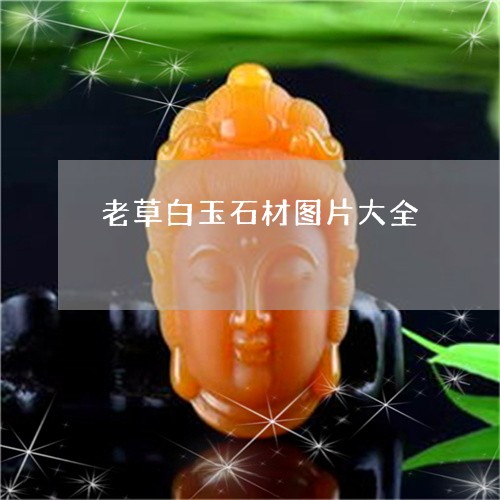 老草白玉石材图片大全/2023060558250