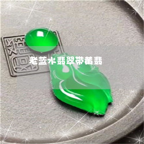 老蓝水翡翠带黄翡/2023030260513