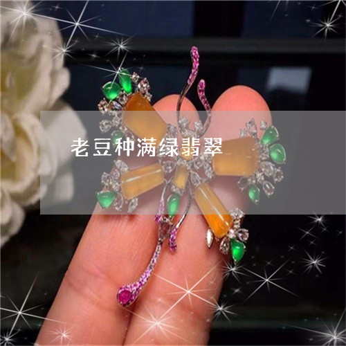 老豆种满绿翡翠/2023032371593 老豆种满绿翡翠/2023032371593