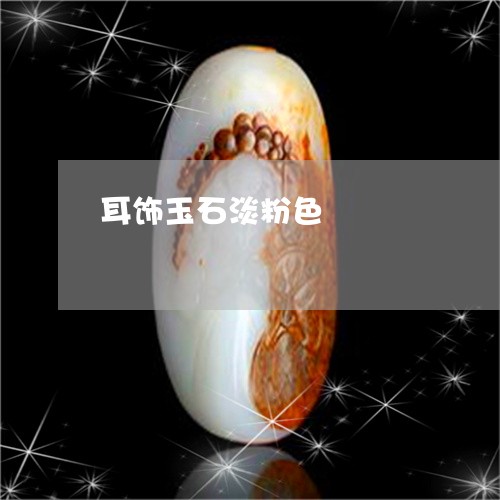 耳饰玉石淡粉色/2023061530723