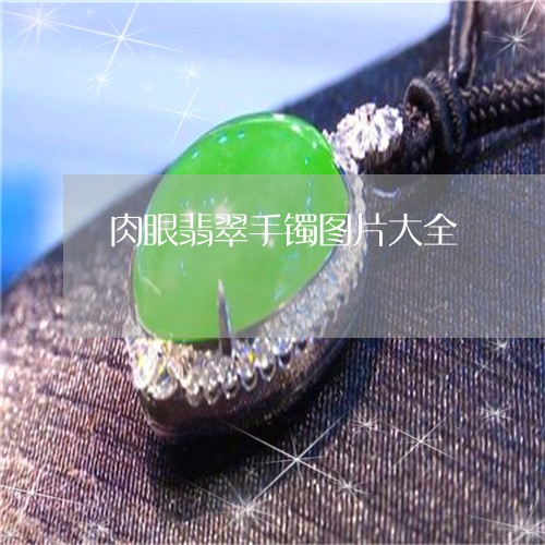 肉眼翡翠手镯图片大全/2023060654830