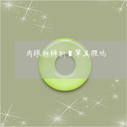 肉眼能辨别翡翠真假吗/2023060638139