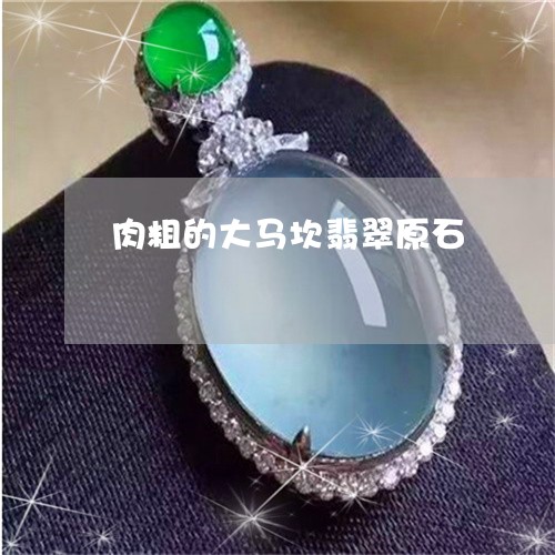 肉粗的大马坎翡翠原石/2023060652674