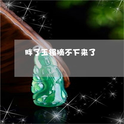 胖了玉镯摘不下来了/2023020649280
