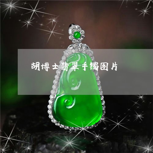 胡博士翡翠手镯图片/2023020614725
