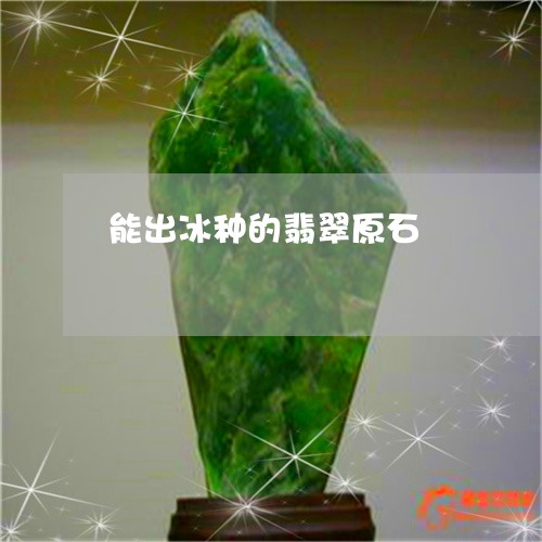 能出冰种的翡翠原石/2023020697148