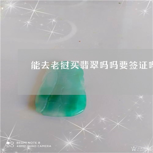 能去老挝买翡翠吗吗要签证吗/2023071216159