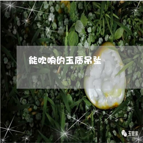 能吹响的玉质吊坠/2023062038483 能吹响的玉质吊坠/2023062038483