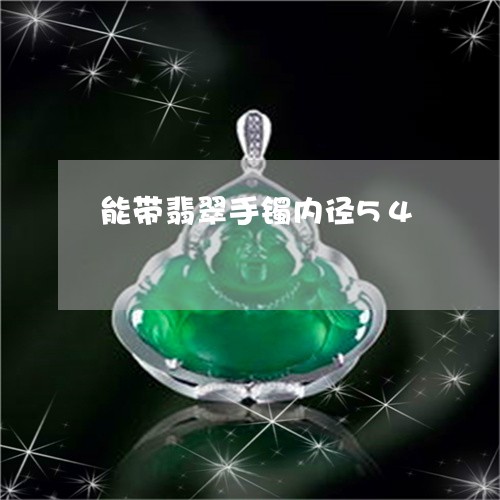 能带翡翠手镯内径54/2023060683793 能带翡翠手镯内径54/2023060683793