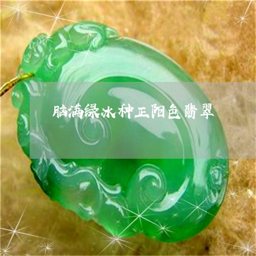 脑满绿冰种正阳色翡翠/2023060639360
