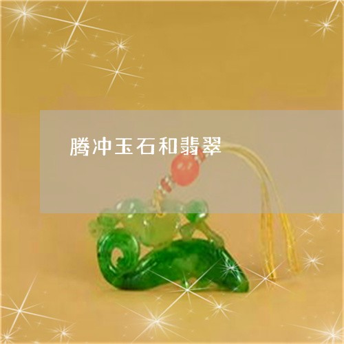 腾冲玉石和翡翠/2023032269261