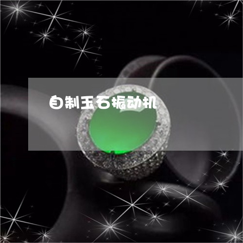 自制玉石振动机/2023032258271 自制玉石振动机/2023032258271