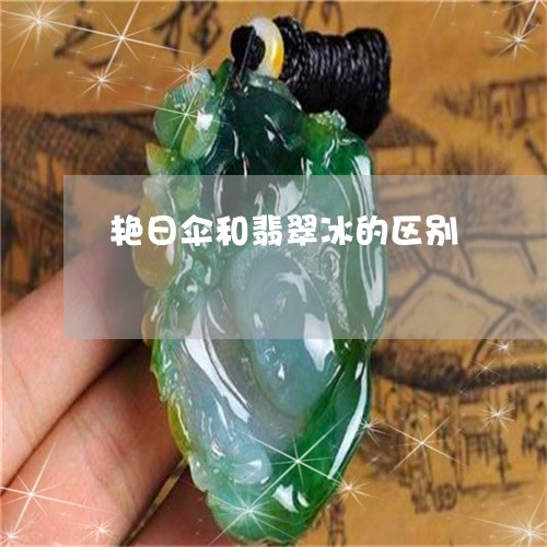 艳日伞和翡翠冰的区别/2023060671504
