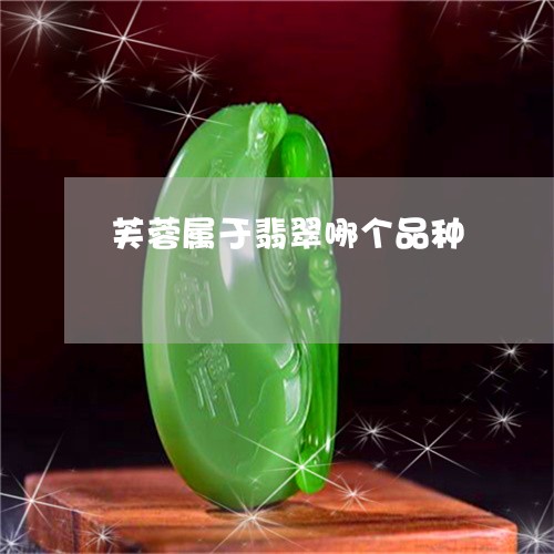 芙蓉属于翡翠哪个品种/2023060604035 芙蓉属于翡翠哪个品种/2023060604035