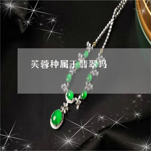 芙蓉种属于翡翠吗/2023062020605 芙蓉种属于翡翠吗/2023062020605