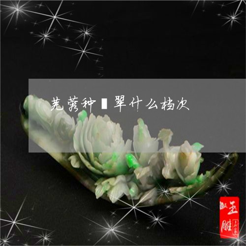 芙蓉种翡翠什么档次/2023020649361 芙蓉种翡翠什么档次/2023020649361