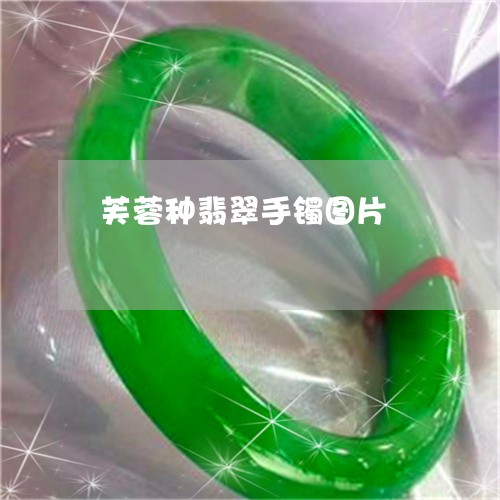 芙蓉种翡翠手镯图片/2023020647270 芙蓉种翡翠手镯图片/2023020647270