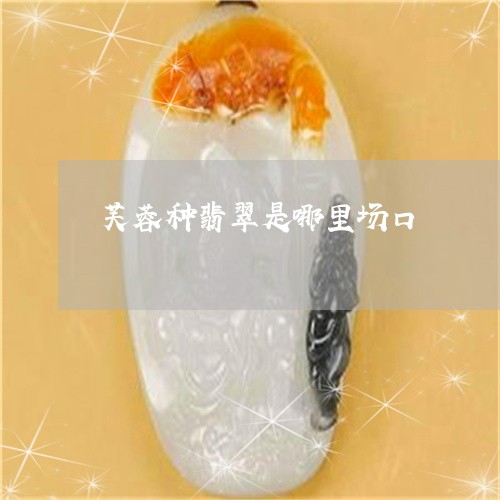 芙蓉种翡翠是哪里场口/2023060648351