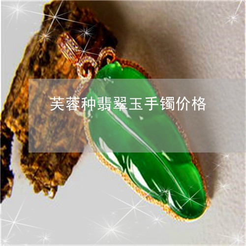 芙蓉种翡翠玉手镯价格/2023060661483