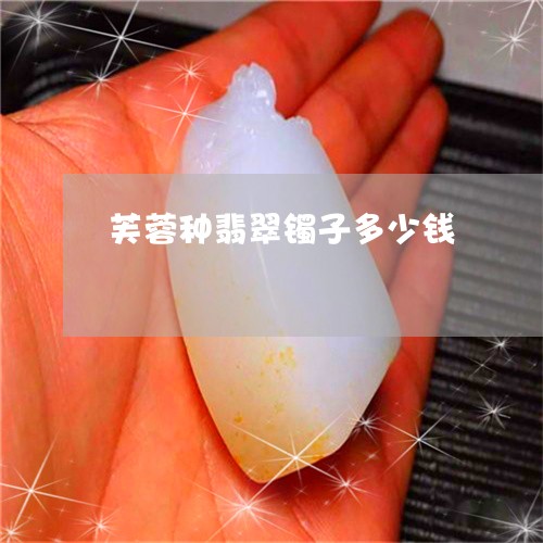 芙蓉种翡翠镯子多少钱/2023060617146