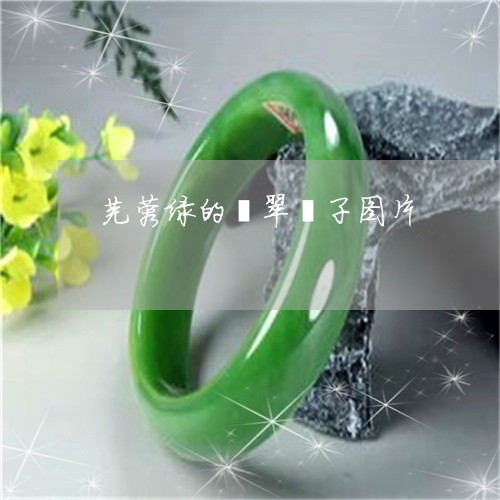 芙蓉绿的翡翠镯子图片/2023060694716