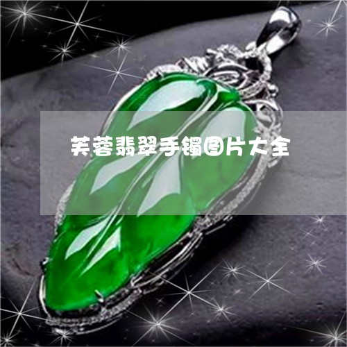 芙蓉翡翠手镯图片大全/2023060638072