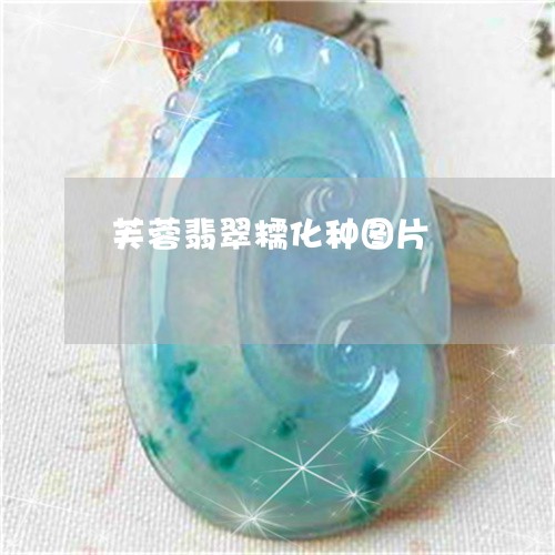 芙蓉翡翠糯化种图片/2023020628370 芙蓉翡翠糯化种图片/2023020628370