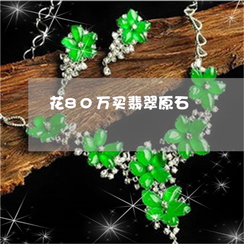 花80万买翡翠原石/2023020628279