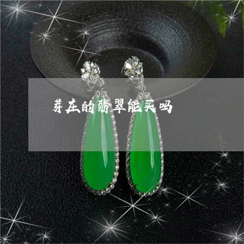 芽庄的翡翠能买吗/2023062060794
