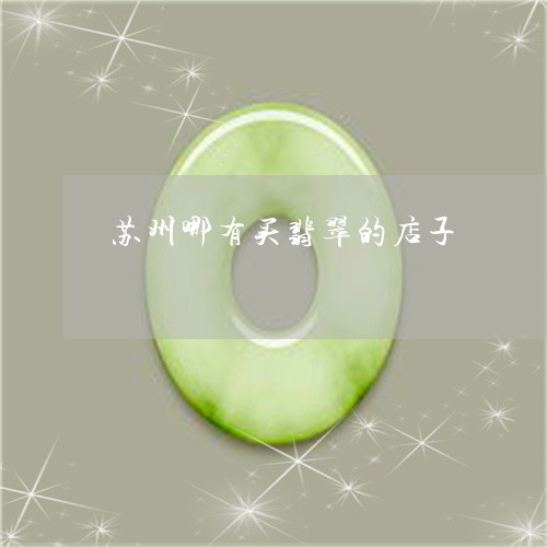苏州哪有买翡翠的店子/2023060669572