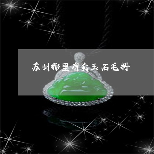 苏州哪里有卖玉石毛料/2023060600370