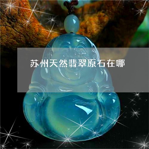 苏州天然翡翠原石在哪/2023060663704
