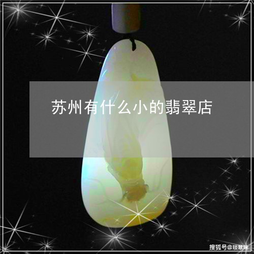 苏州有什么小的翡翠店/2023060682804