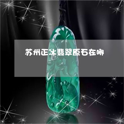 苏州正冰翡翠原石在哪/2023060673593