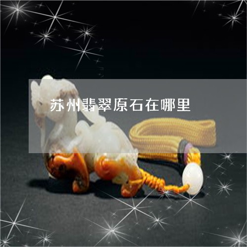 苏州翡翠原石在哪里/2023020652837 苏州翡翠原石在哪里/2023020652837