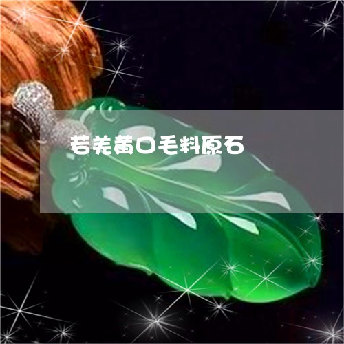 若羌黄口毛料原石/2023062069714 若羌黄口毛料原石/2023062069714