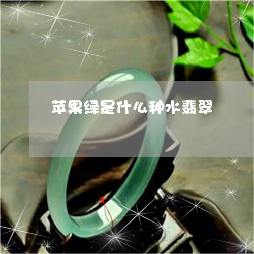 苹果绿是什么种水翡翠/2023060650594 苹果绿是什么种水翡翠/2023060650594