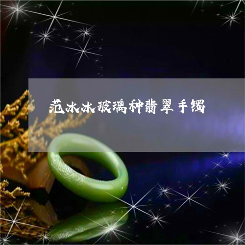 范冰冰玻璃种翡翠手镯/2023060526928