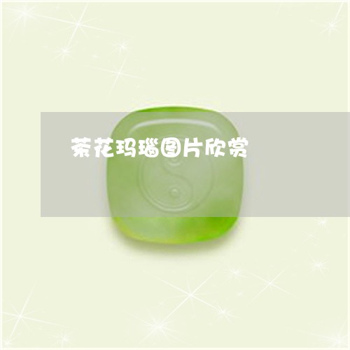 茶花玛瑙图片欣赏/2023030178370 茶花玛瑙图片欣赏/2023030178370