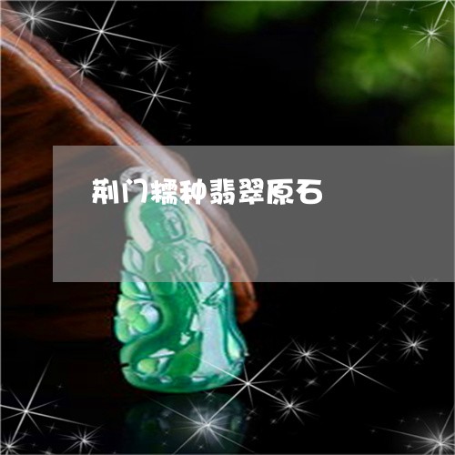 荆门糯种翡翠原石/2023030164727 荆门糯种翡翠原石/2023030164727