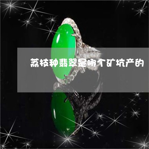 荔枝种翡翠是哪个矿坑产的/2023062860684