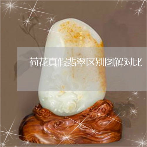 荷花真假翡翠区别图解对比/2023062962792
