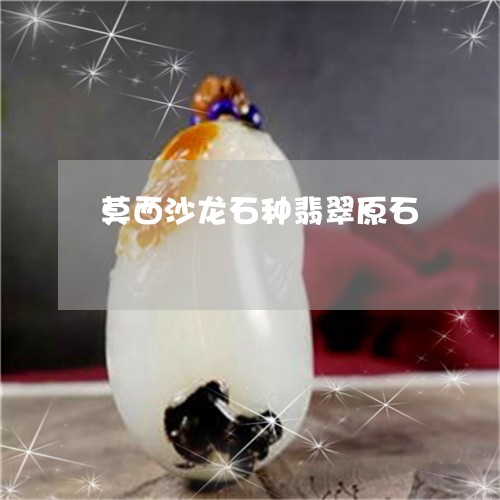 莫西沙龙石种翡翠原石/2023060605826